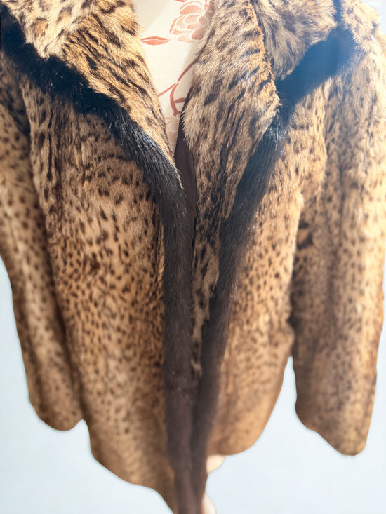Cruella M
